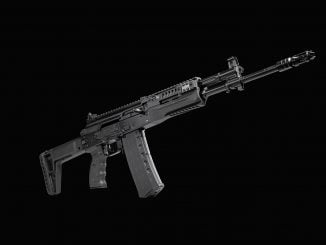 ak-19